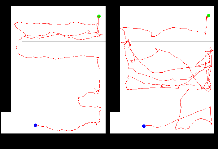 On the left, a participant used the navigation mode to complete the maze. On the right, the vista mode was chosen.